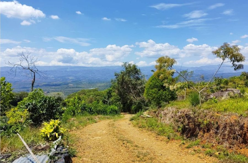 Farms and Ranches for sale in San Isidro-Perez Zeledon Costa Rica