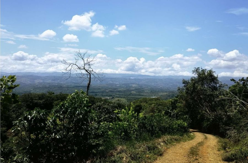 Farms and Ranches for sale in San Isidro-Perez Zeledon Costa Rica