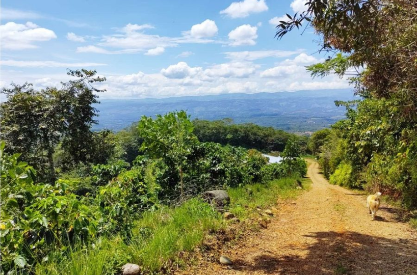Farms and Ranches for sale in San Isidro-Perez Zeledon Costa Rica