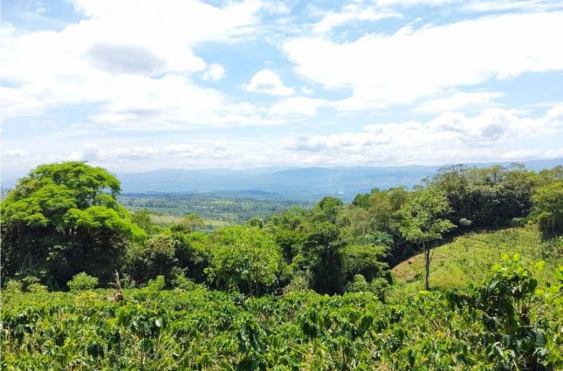 Farms and Ranches for sale in San Isidro-Perez Zeledon Costa Rica