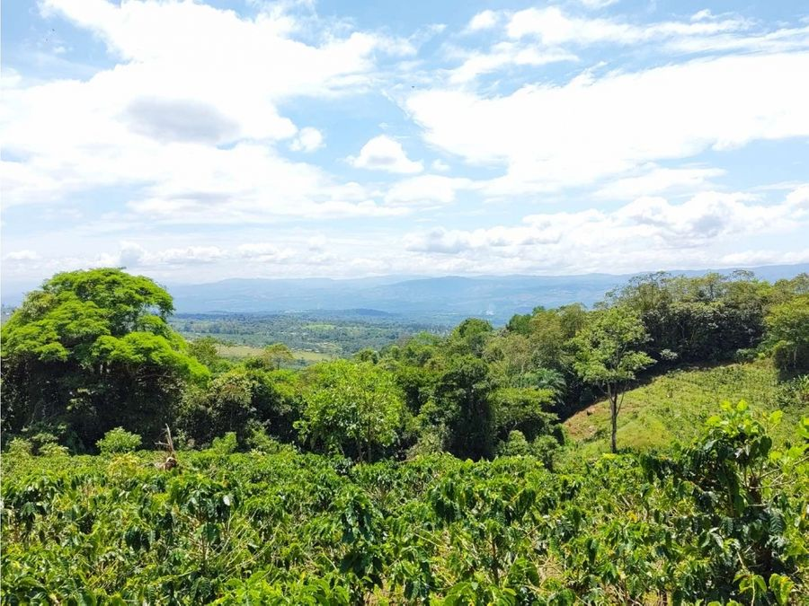 Farms and Ranches for sale in San Isidro-Perez Zeledon Costa Rica
