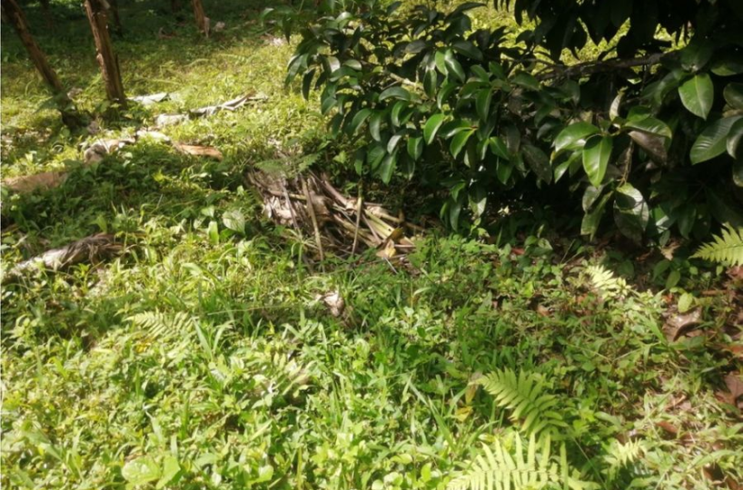 Building Lots for sale in San Isidro-Perez Zeledon Costa Rica