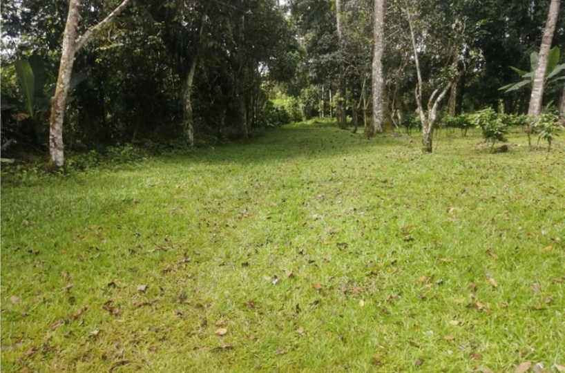 Building Lots for sale in San Isidro-Perez Zeledon Costa Rica