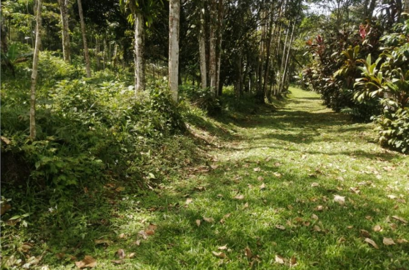 Building Lots for sale in San Isidro-Perez Zeledon Costa Rica