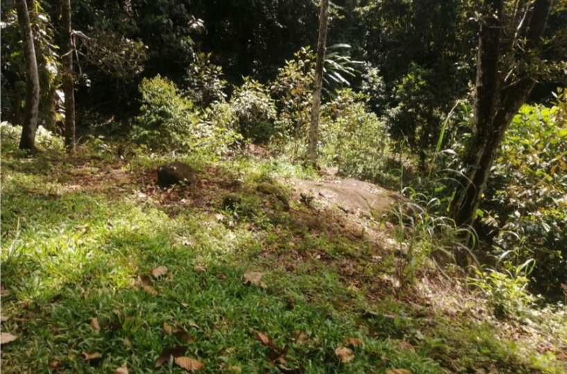 Building Lots for sale in San Isidro-Perez Zeledon Costa Rica