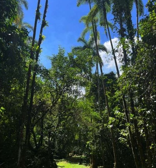 Building Lots for sale in San Isidro-Perez Zeledon Costa Rica