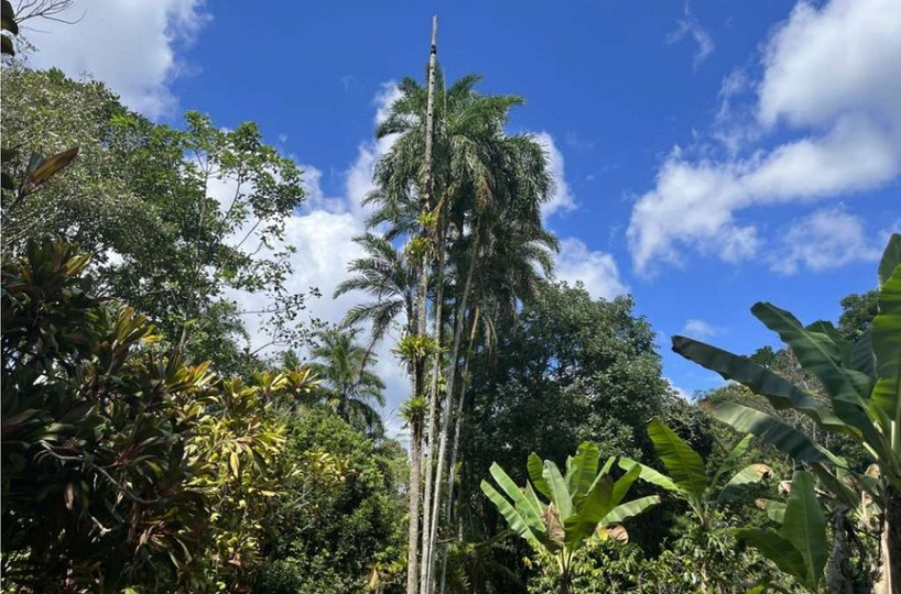 Building Lots for sale in San Isidro-Perez Zeledon Costa Rica