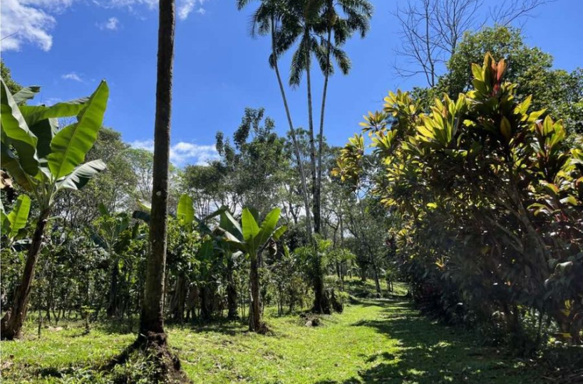 Building Lots for sale in San Isidro-Perez Zeledon Costa Rica