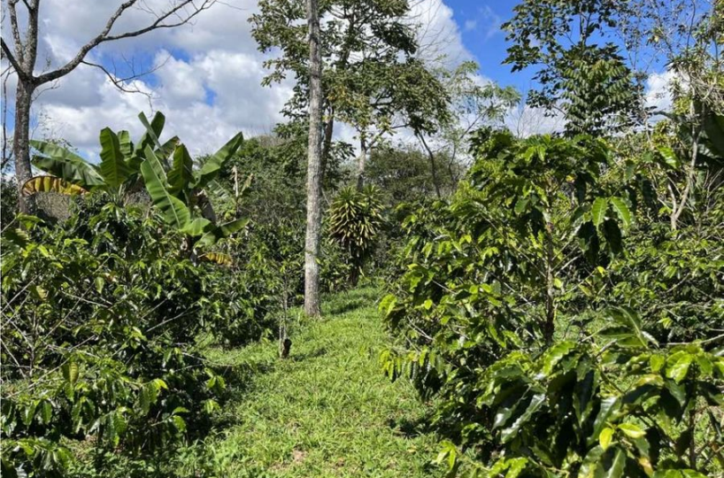 Building Lots for sale in San Isidro-Perez Zeledon Costa Rica