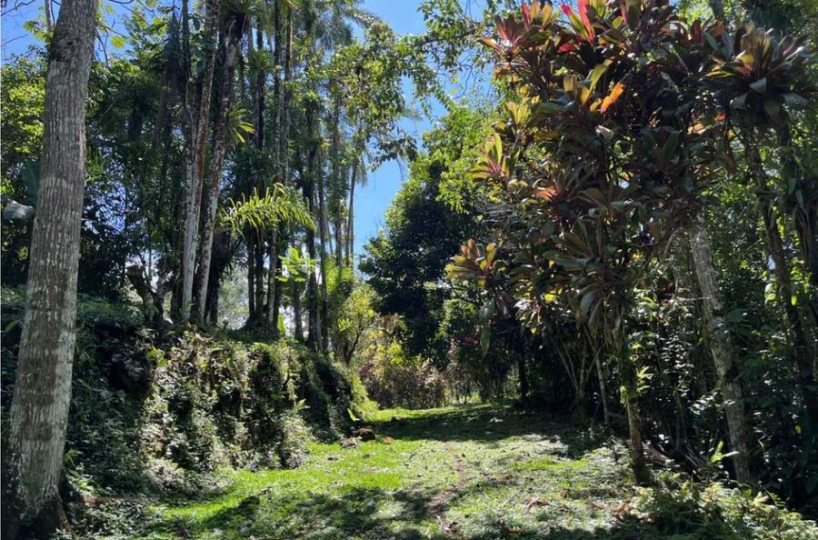Building Lots for sale in San Isidro-Perez Zeledon Costa Rica