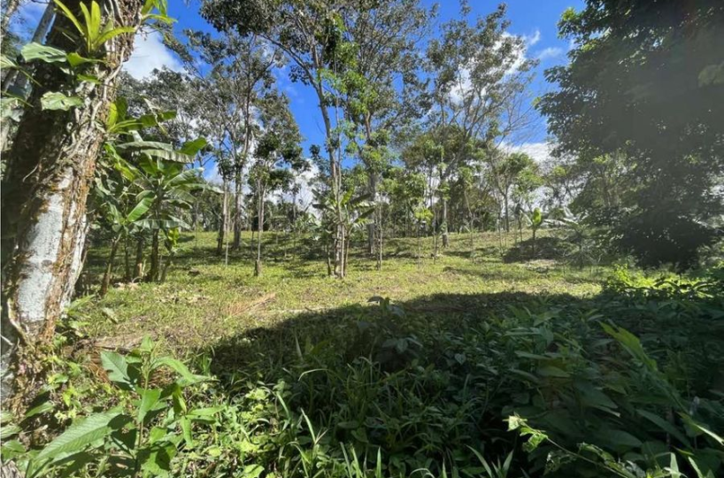 Building Lots for sale in San Isidro-Perez Zeledon Costa Rica