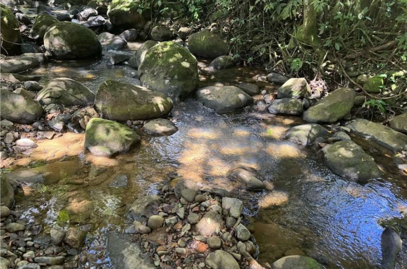 Building Lots for sale in San Isidro-Perez Zeledon Costa Rica