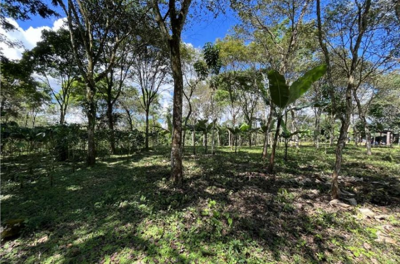 Building Lots for sale in San Isidro-Perez Zeledon Costa Rica