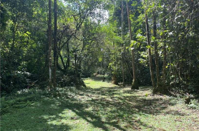 Building Lots for sale in San Isidro-Perez Zeledon Costa Rica