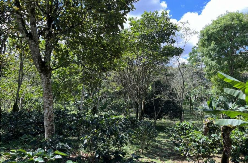 Building Lots for sale in San Isidro-Perez Zeledon Costa Rica