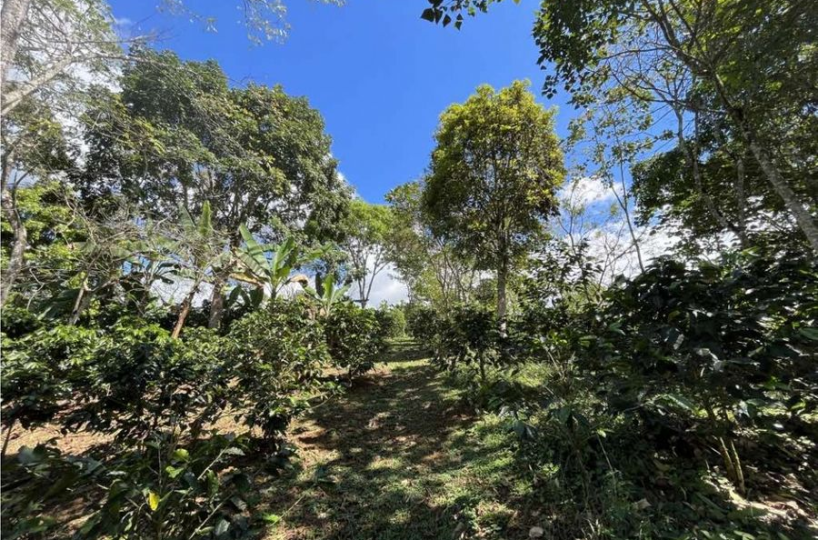Building Lots for sale in San Isidro-Perez Zeledon Costa Rica