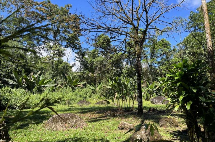 Building Lots for sale in San Isidro-Perez Zeledon Costa Rica