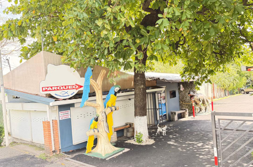 CommercialHomes for sale in San José Costa Rica