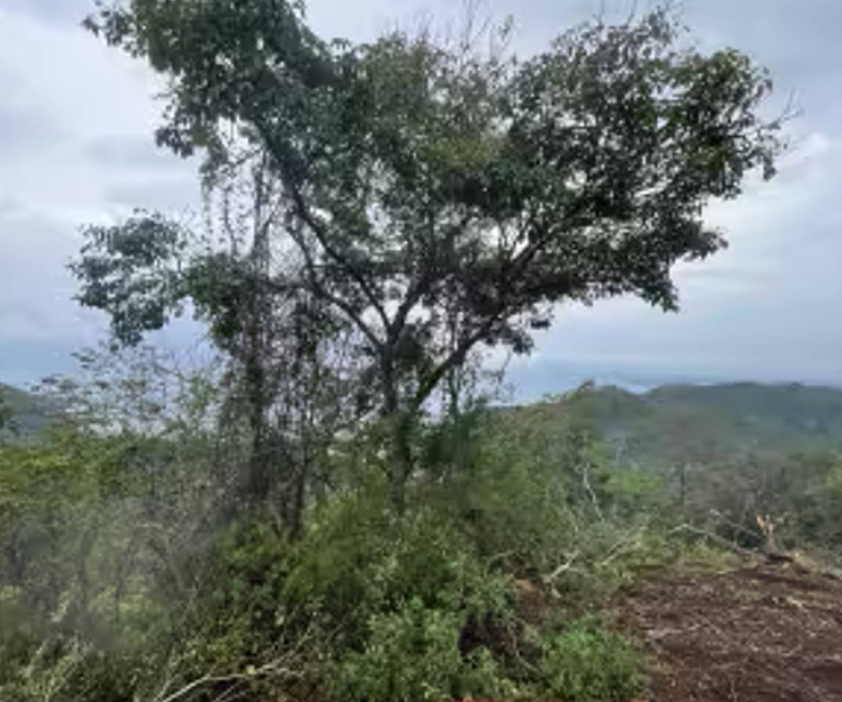 Building LotsDevelopment Land for sale in Playa matapalo Costa Rica