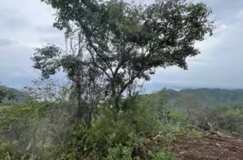 Building LotsDevelopment Land for sale in Playa matapalo Costa Rica