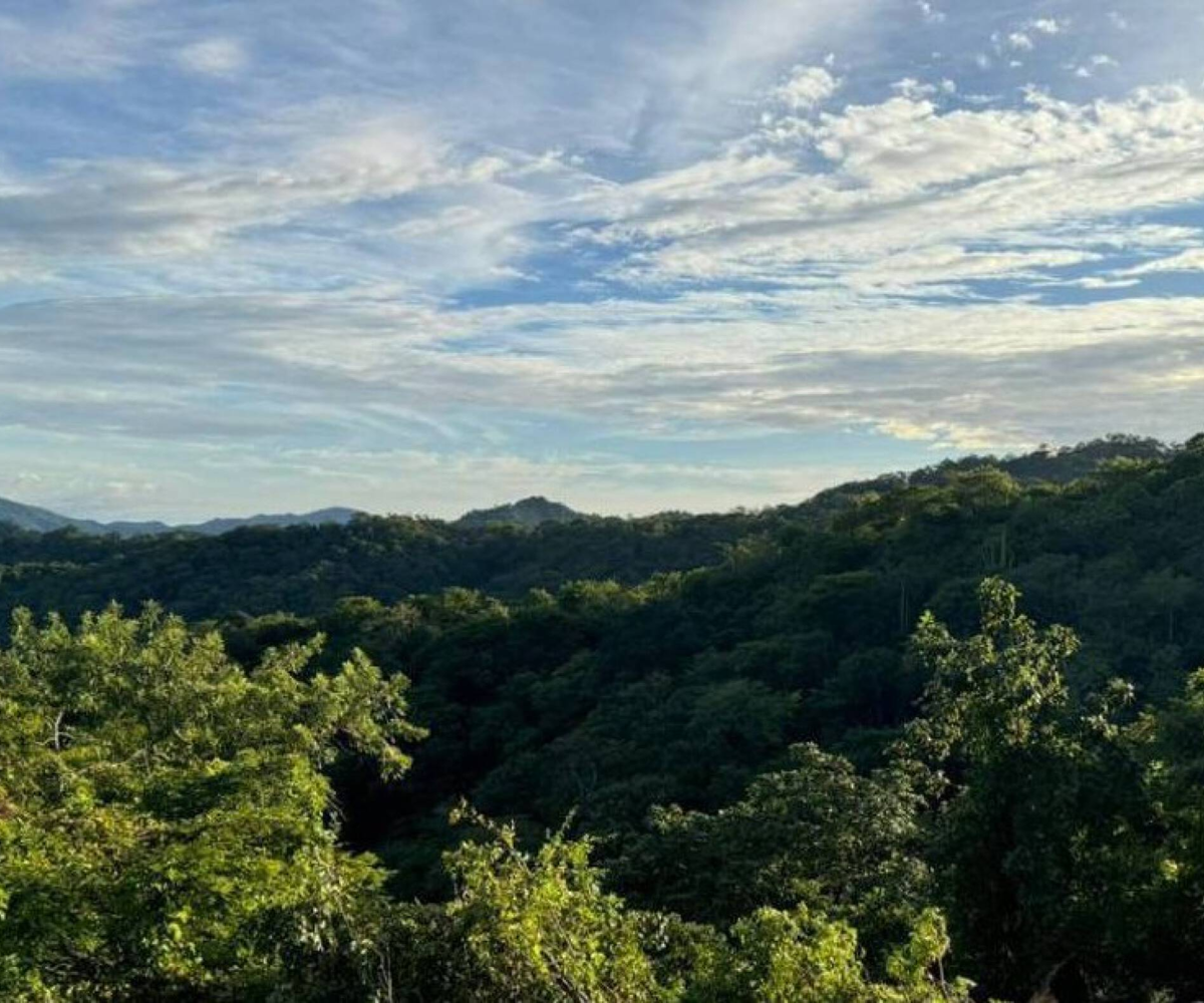 Building LotsDevelopment Land for sale in Playa matapalo Costa Rica