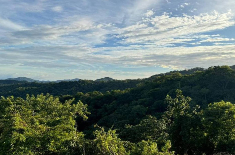 Building LotsDevelopment Land for sale in Playa matapalo Costa Rica