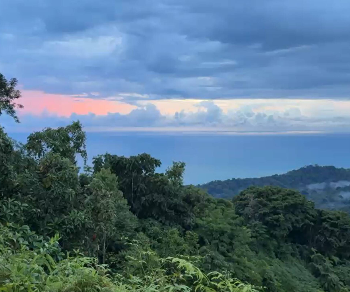 Building LotsDevelopment Land for sale in Puntarenas Costa Rica