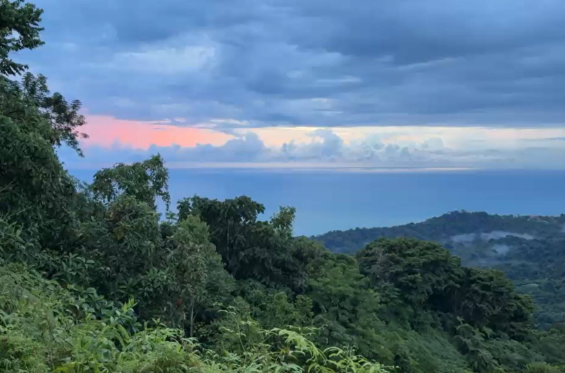 Building LotsDevelopment Land for sale in Puntarenas Costa Rica