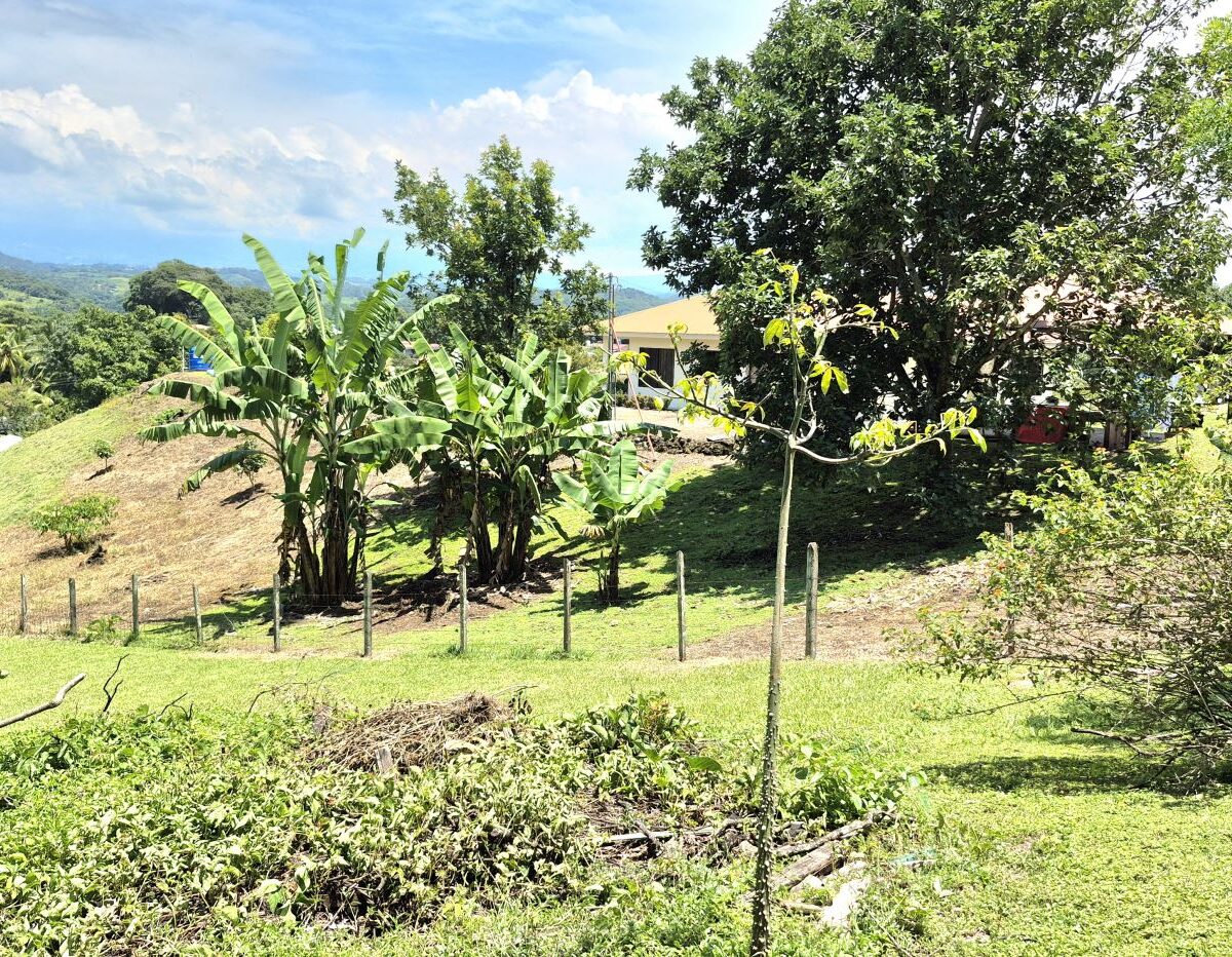 Building Lots for sale in Atenas Costa Rica