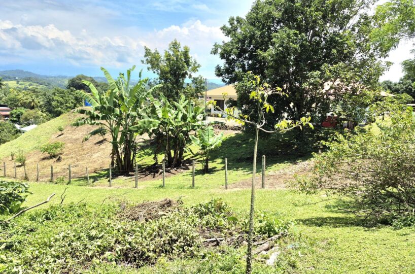 Building Lots for sale in Atenas Costa Rica