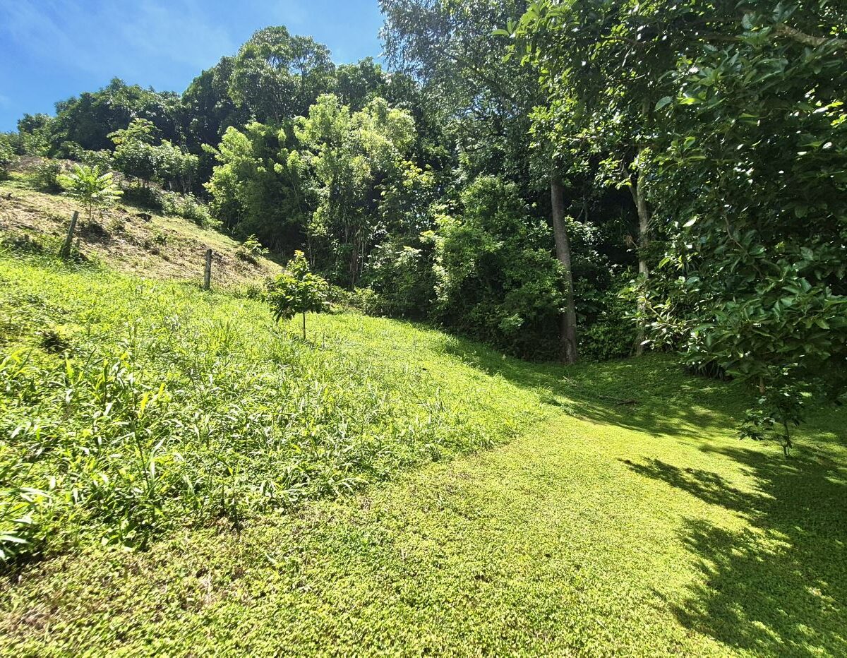 Building Lots for sale in Atenas Costa Rica