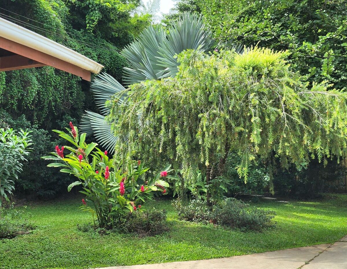 Homes for sale in Atenas Costa Rica