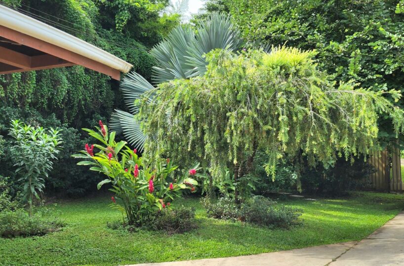 Homes for sale in Atenas Costa Rica
