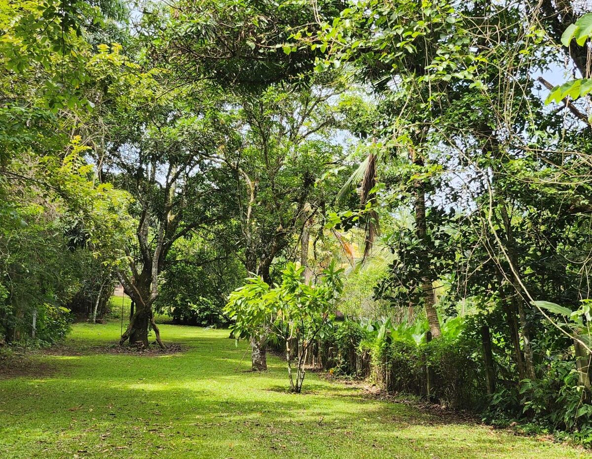 Homes for sale in Atenas Costa Rica