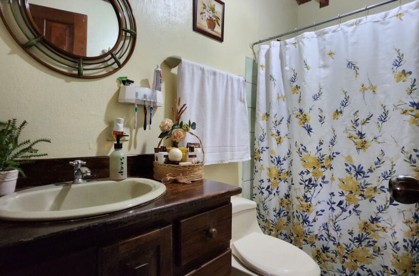 Homes for sale in Atenas Costa Rica