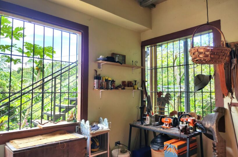 Homes for sale in Atenas Costa Rica