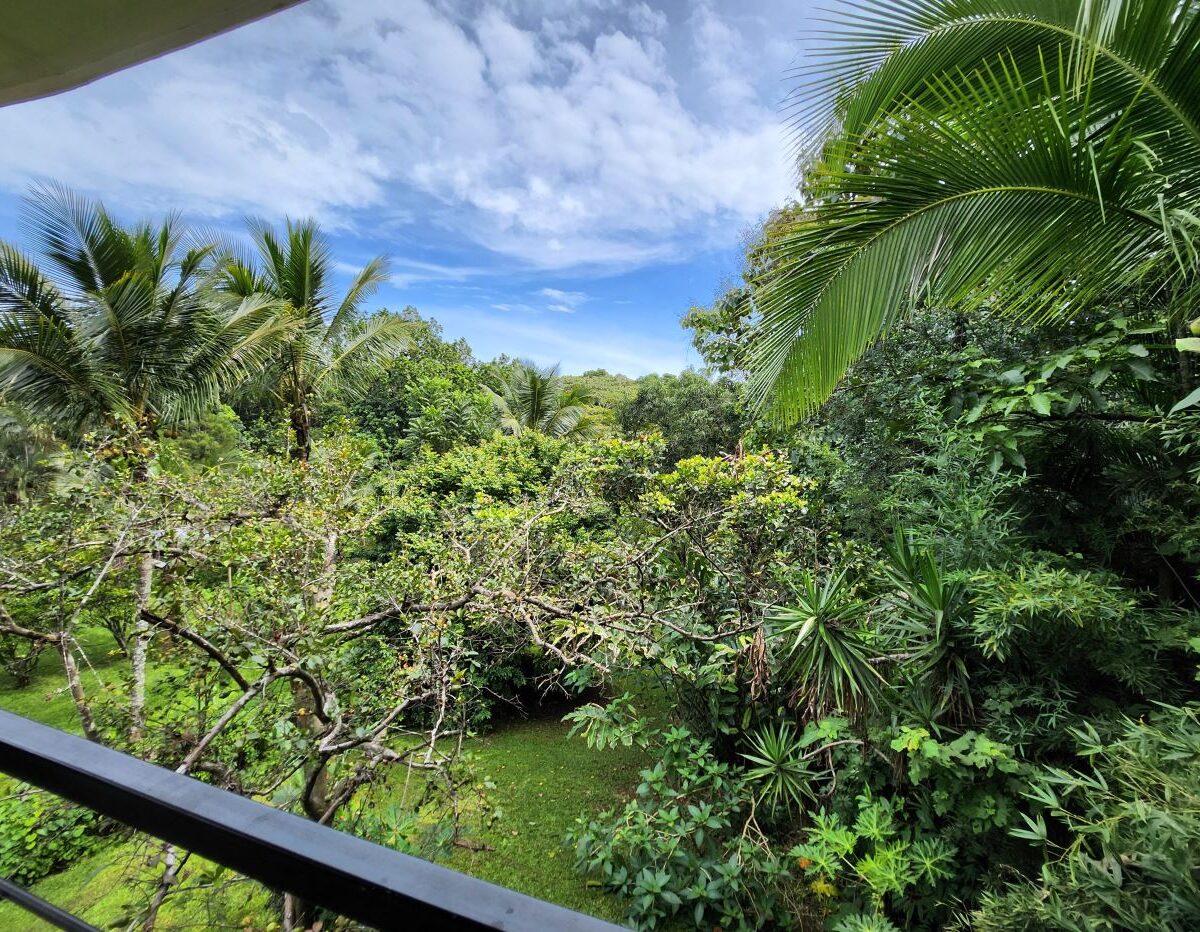 Homes for sale in Atenas Costa Rica