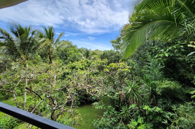 Homes for sale in Atenas Costa Rica