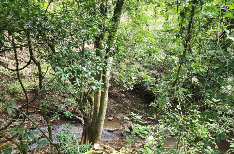 Homes for sale in Atenas Costa Rica