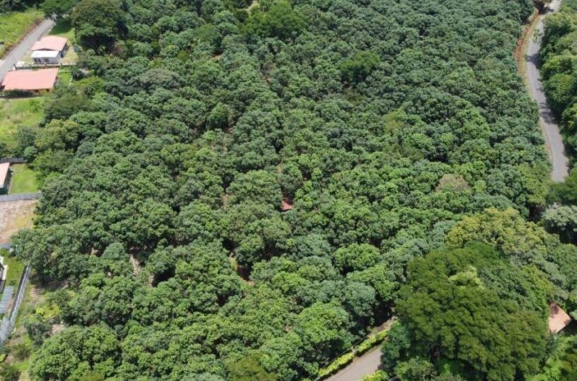 Building Lots for sale in Atenas Costa Rica