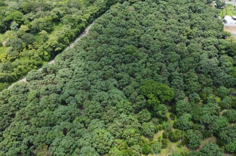 Building Lots for sale in Atenas Costa Rica