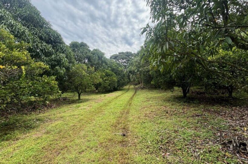 Building Lots for sale in Atenas Costa Rica