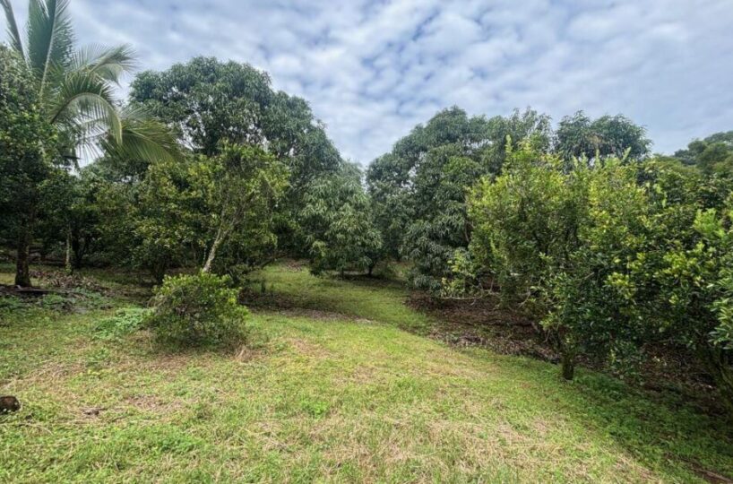 Building Lots for sale in Atenas Costa Rica