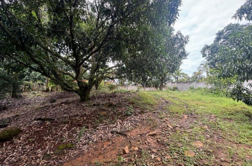 Building Lots for sale in Atenas Costa Rica
