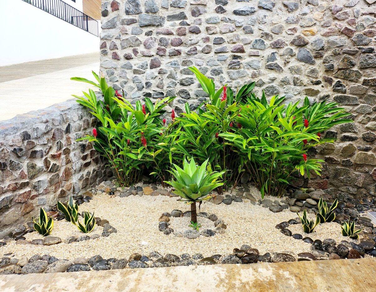 Homes for sale in Atenas Costa Rica