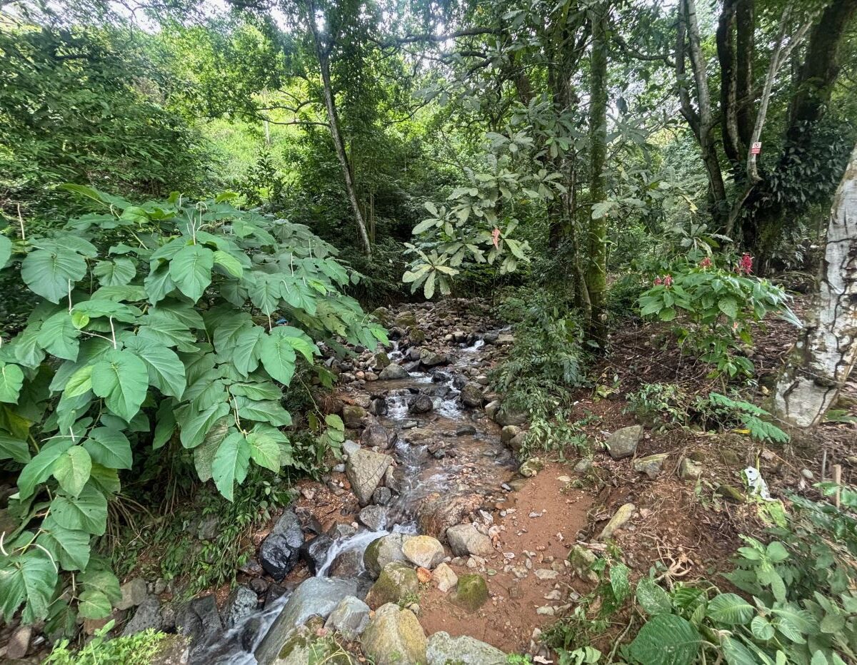 Homes for sale in Orotina Costa Rica