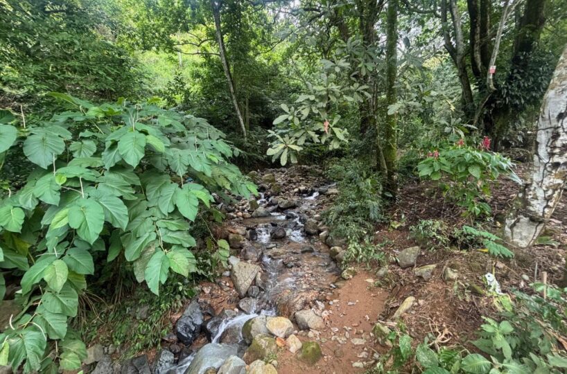 Homes for sale in Orotina Costa Rica