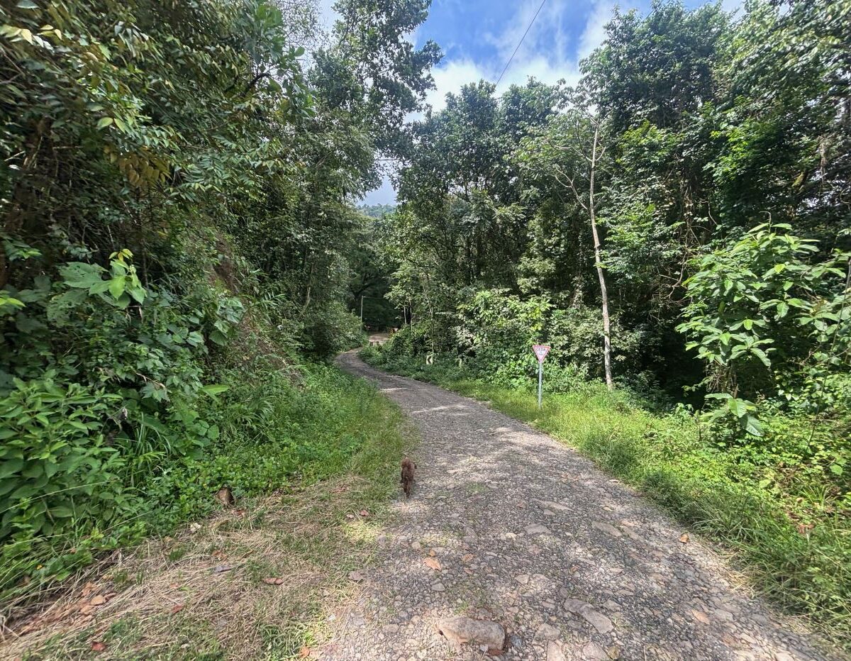 Homes for sale in Orotina Costa Rica