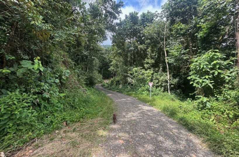 Homes for sale in Orotina Costa Rica