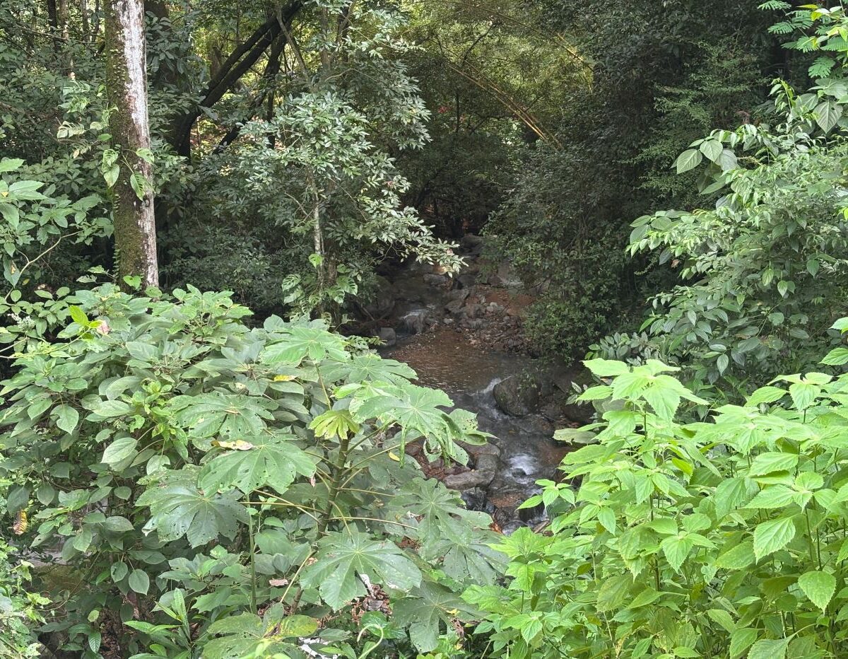 Homes for sale in Orotina Costa Rica